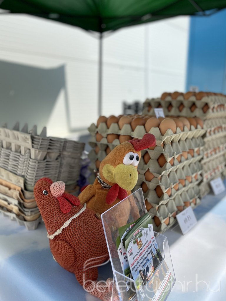 Tama termelői piac 38